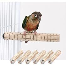 71W84b+PZ2L._AC_UL210_SR210,